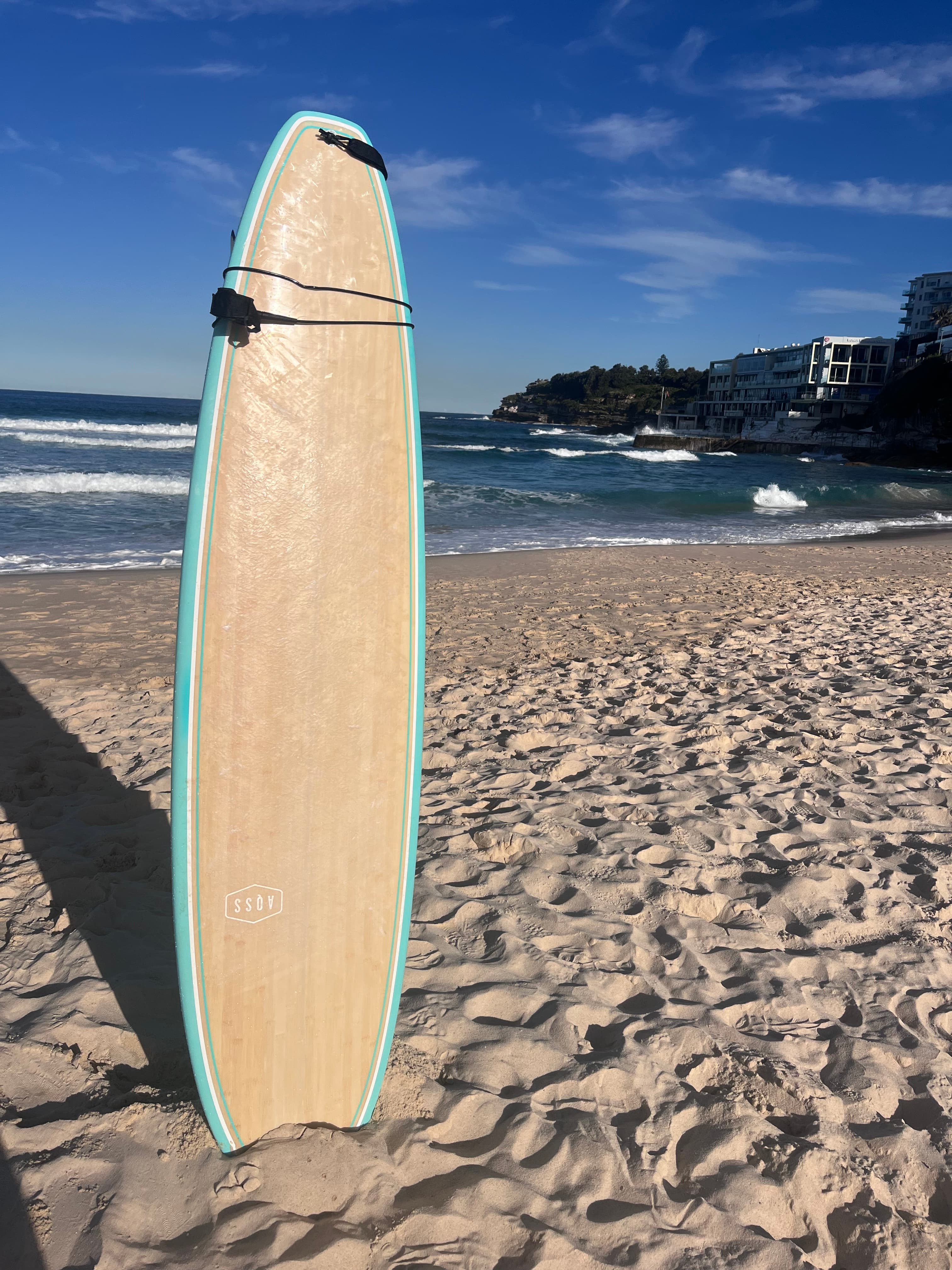 Mini Mal Surf Board